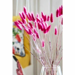 Joe Browns Beautiful Faux Bunny Tail Grass For Unisex -Joe Browns Shop unnamed file 1181