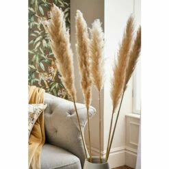 Joe Browns Glorious Pampas Grass For Unisex