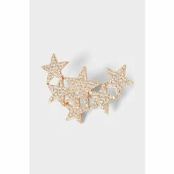 Joe Browns Evening Star Sparkling Pin For Female
