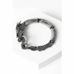 Joe Browns Oxidized Stainless Steel Dragon Bracelet For Female -Joe Browns Shop unnamed file 2648