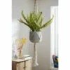Joe Browns Hanging Fern In Pot For Unisex 2 Joe Browns Hanging Fern In Pot For Unisex -Joe Browns Shop unnamed file 2739