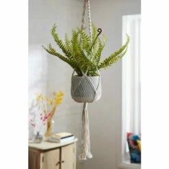 Joe Browns Hanging Fern In Pot For Unisex 7 Joe Browns Hanging Fern In Pot For Unisex -Joe Browns Shop unnamed file 2741