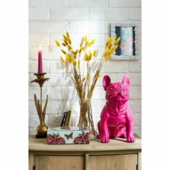 Joe Browns Big Frank Bulldog Ornament For Unisex 8 Joe Browns Big Frank Bulldog Ornament For Unisex -Joe Browns Shop unnamed file 2750