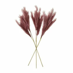 Joe Browns Pretty Purple Pampas Stem Set Of 3 For Unisex 6 Joe Browns Pretty Purple Pampas Stem Set Of 3 For Unisex -Joe Browns Shop unnamed file 2894