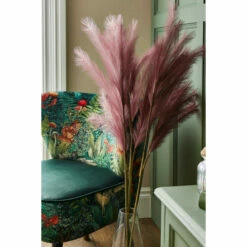 Joe Browns Pretty Purple Pampas Stem Set Of 3 For Unisex 7 Joe Browns Pretty Purple Pampas Stem Set Of 3 For Unisex -Joe Browns Shop unnamed file 2895