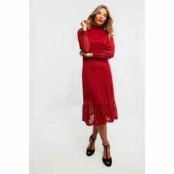 Joe Browns Lottie Lace Dress For Female -Joe Browns Shop unnamed file 5130